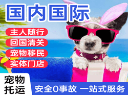 佳木斯航空物流国际宠物托运 【国